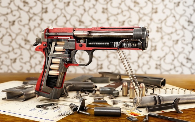 in_hand-gun.jpg